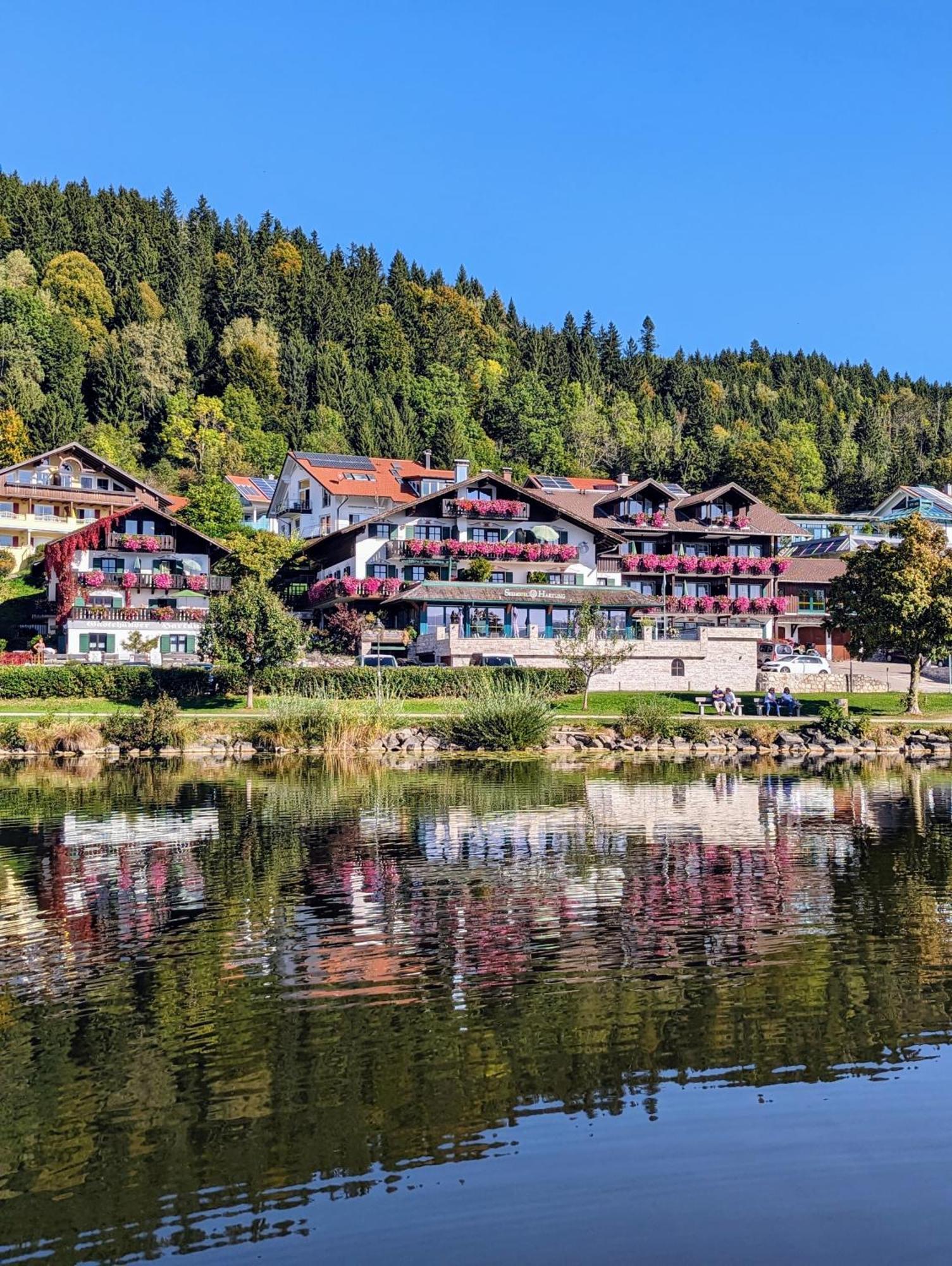 Seehotel Hartung & Ferienappartements Füssen Exteriér fotografie
